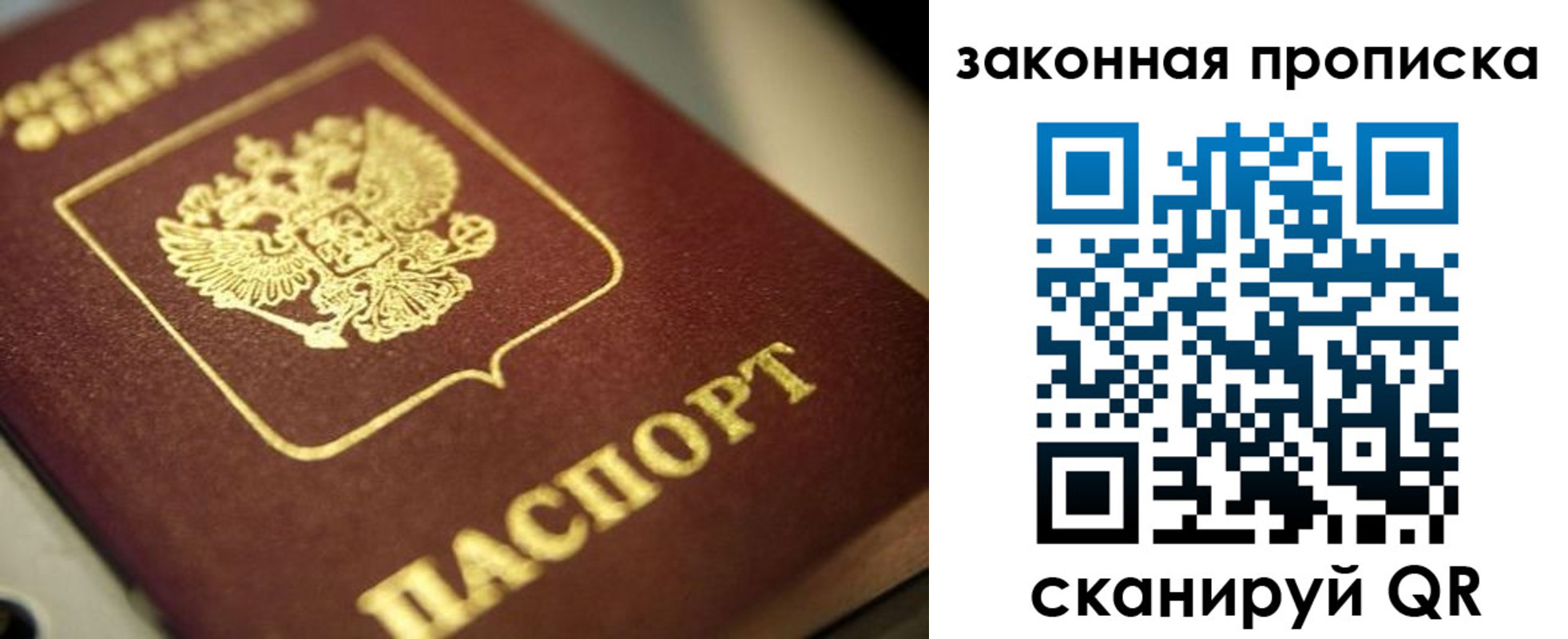 прописка поиск в Зеленогорске